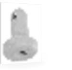 Produktbild hochauflösend (300 dpi)