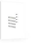 Produktbild hochauflösend (300 dpi)