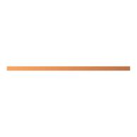 ZXM1080 CU-Schiene 12x5mm, L:345mm
