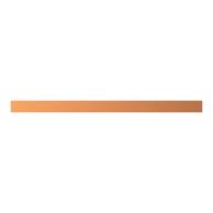 ZX2040 CU-Schiene 12x5mm, L:195mm