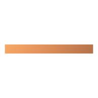 ZX2058 CU-Schiene 20x5mm, L:195mm
