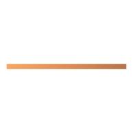 ZXM2065 CU-Schiene 20x5mm, L:454mm