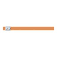 ZXM2249 Cu-Schiene 30x10mm 2FB V1, A1