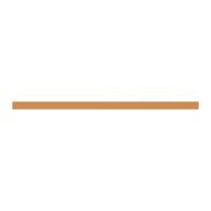 ZX2282 CU-Schiene 30x5mm, L:742mm