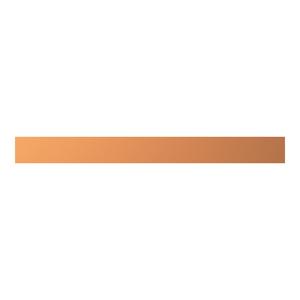 ZXM2064 CU-Schiene 20x5mm, L:204mm