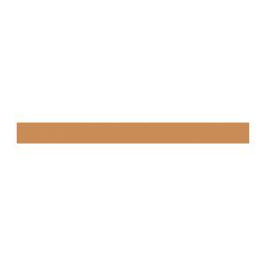 ZX2270 CU-Schiene 20x5mm, L:242mm