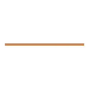 ZX2283 CU-Schiene 30x5mm, L:992mm