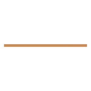 ZXM2293 CU-Schiene 30x10mm, L:931mm