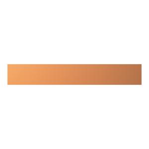 ZX2076 CU-Schiene 30x10mm, L:195mm