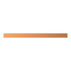 ZX2077 CU-Schiene 30x10mm, L:445mm