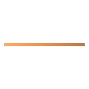 ZX2078 CU-Schiene 30x10mm, L:695mm