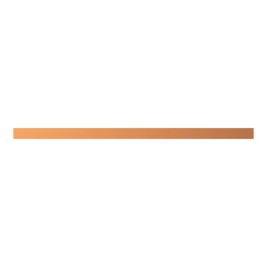 ZX2100 CU-Schiene 12x10mm, L:267mm